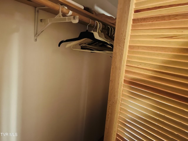 view of closet