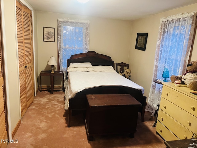 bedroom featuring carpet and a closet