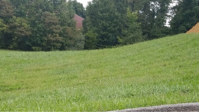 4 Clearwater Dr, Unicoi, TN 37692
