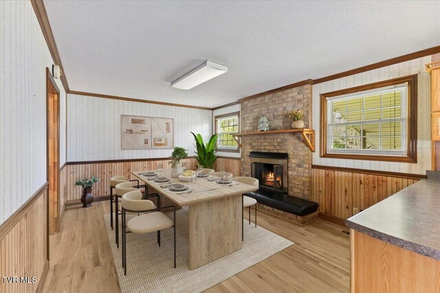 212 Mayflower Rd, Johnson City, TN 37601 - interior space with crown molding, a textured ceiling, wainscoting, light wood finished floors, and wood walls