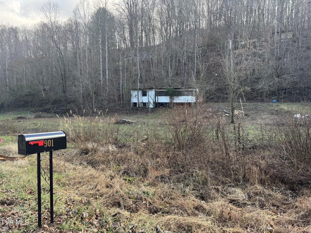 901 Old Blairs Gap Rd, Kingsport, TN 37660 - photo 8