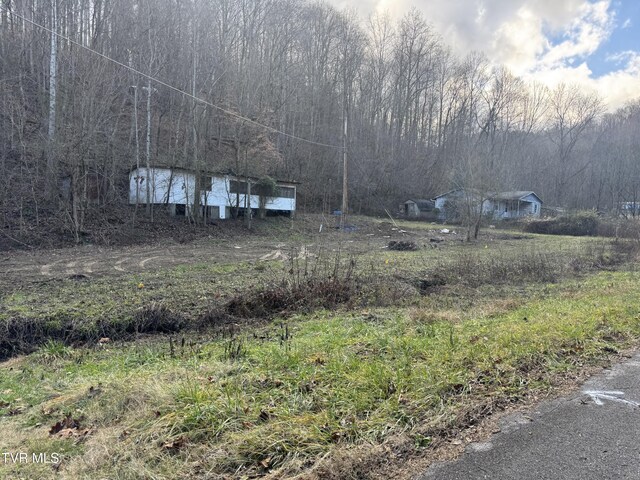 901 Old Blairs Gap Rd, Kingsport, TN 37660 - photo 5