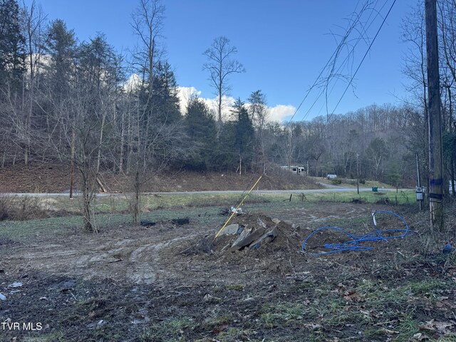 901 Old Blairs Gap Rd, Kingsport, TN 37660 - photo 4