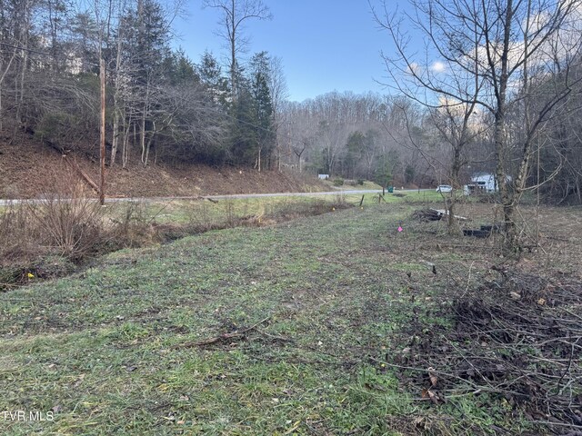 901 Old Blairs Gap Rd, Kingsport, TN 37660 - photo 6