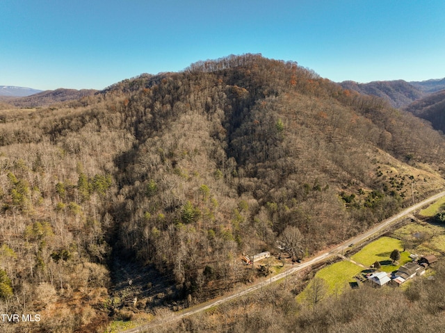 18353 Mccall Gap Rd, Bristol, VA 24202 - photo 3