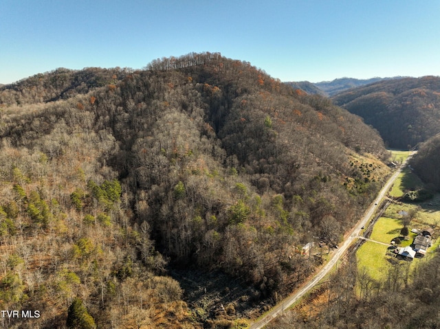 18353 Mccall Gap Rd, Bristol, VA 24202 - photo 4