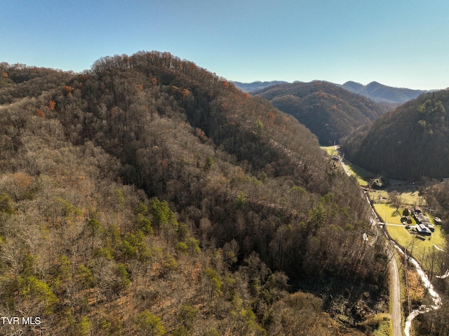 18353 Mccall Gap Rd, Bristol, VA 24202 - photo 5