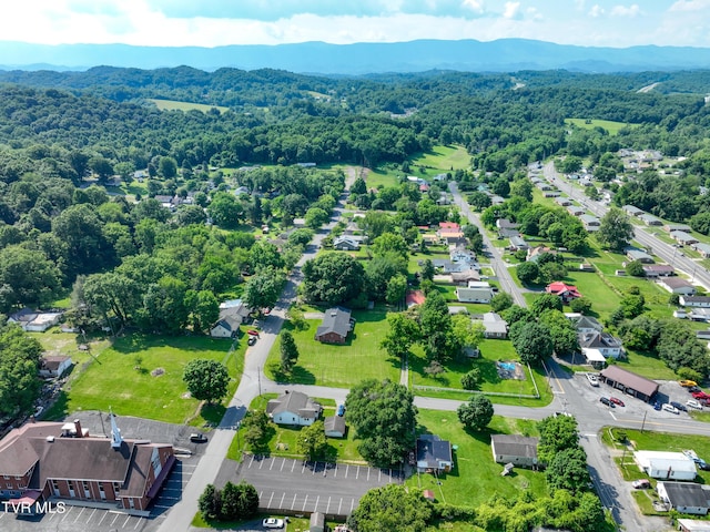 aerial view with a mountain view