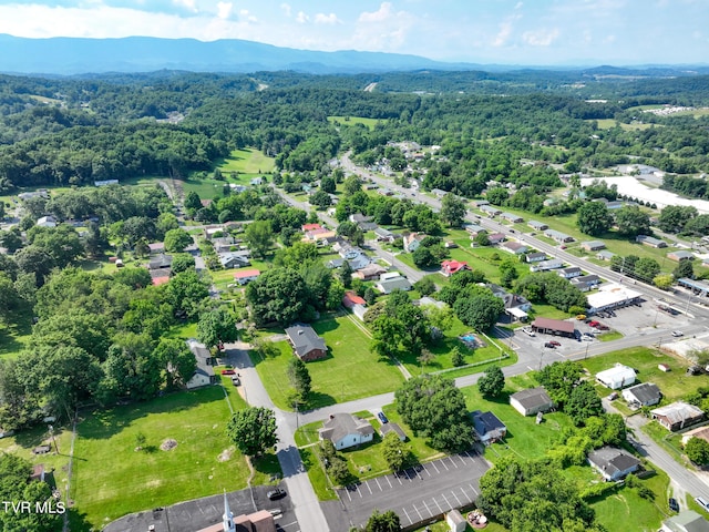 birds eye view of property featuring a mountain view