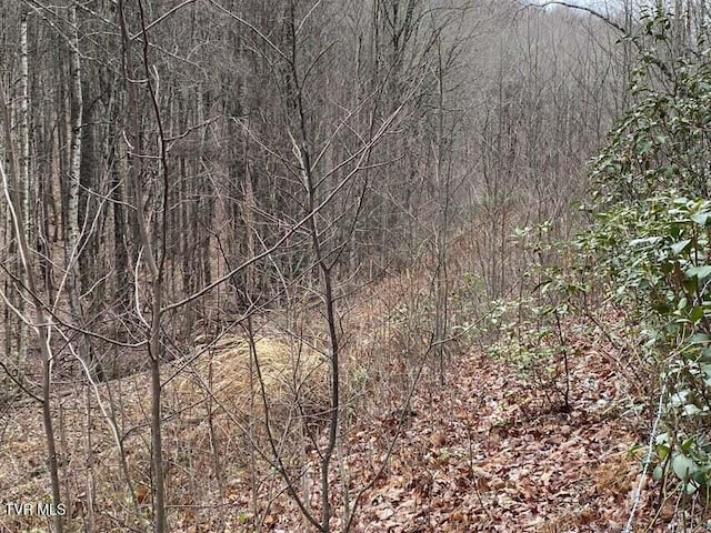 Listing photo 2 for TBD Pine Camp Rd, Coeburn VA 24230