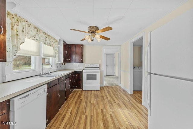 kitchen with sink, tasteful backsplash, light hardwood / wood-style flooring, white appliances, and dark brown cabinets