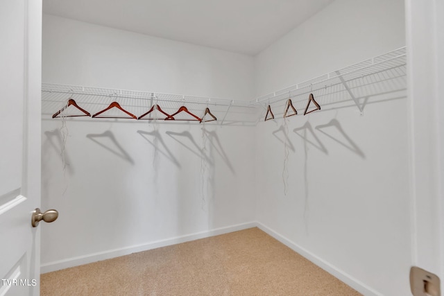 121 Crawford Cir, Bristol, TN 37618 - spacious closet featuring carpet flooring