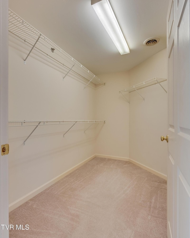 spacious closet featuring carpet flooring