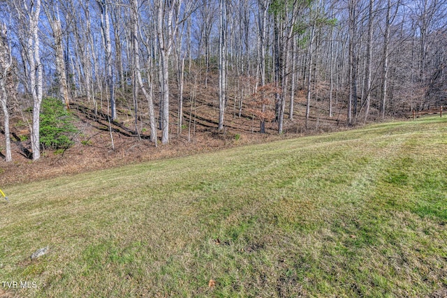 117 Buckner Dr, Roan Mountain TN, 37687 land for sale