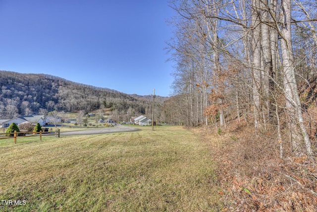 Listing photo 2 for 117 Buckner Dr, Roan Mountain TN 37687