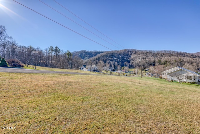 Listing photo 3 for 117 Buckner Dr, Roan Mountain TN 37687