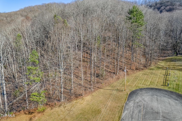 117 Buckner Dr, Roan Mountain, TN 37687