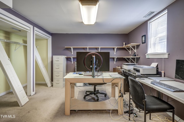 office space with carpet floors