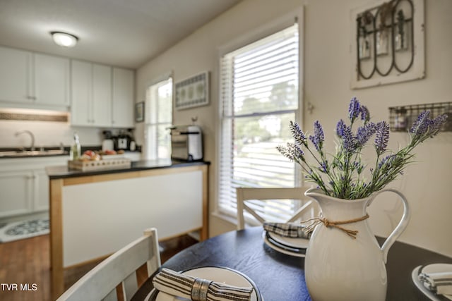 dining space featuring a healthy amount of sunlight and sink