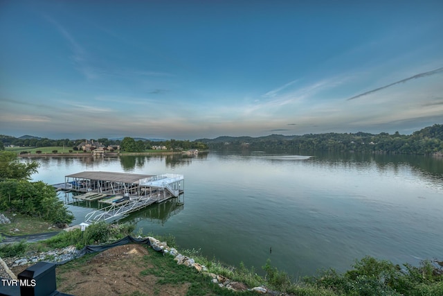 property view of water with a boat dock