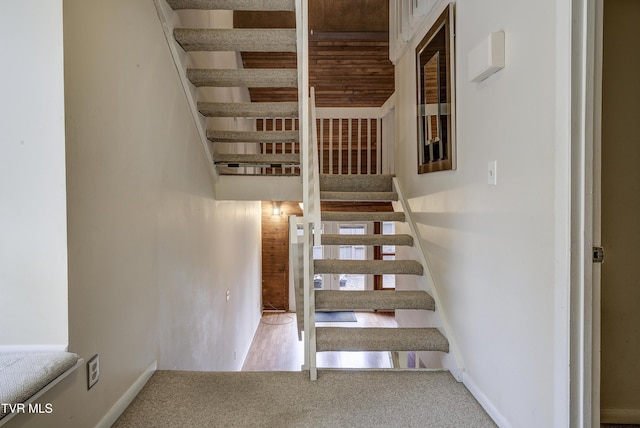 stairway featuring carpet floors