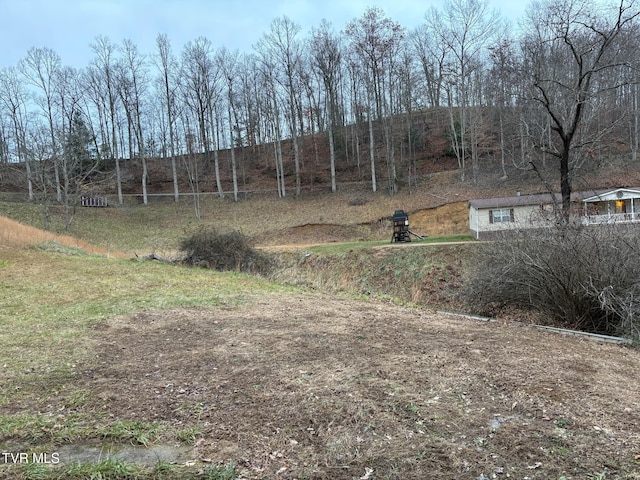 view of yard with a rural view