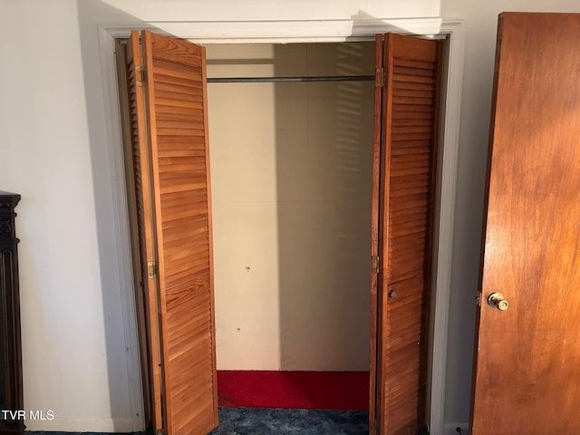 view of closet