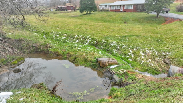 view of yard with a water view