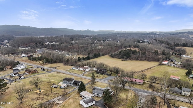 drone / aerial view featuring a mountain view