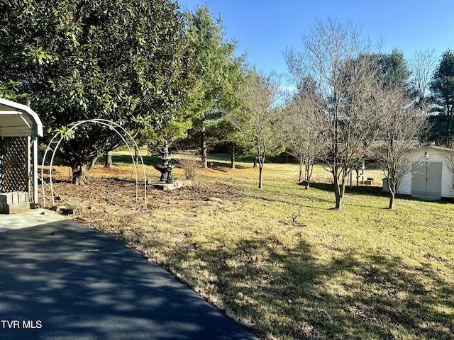 view of yard with a shed