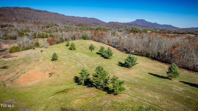 birds eye view of property featuring a mountain view