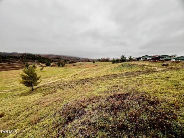 view of yard featuring a rural view