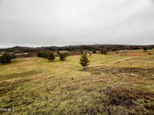 view of landscape featuring a rural view