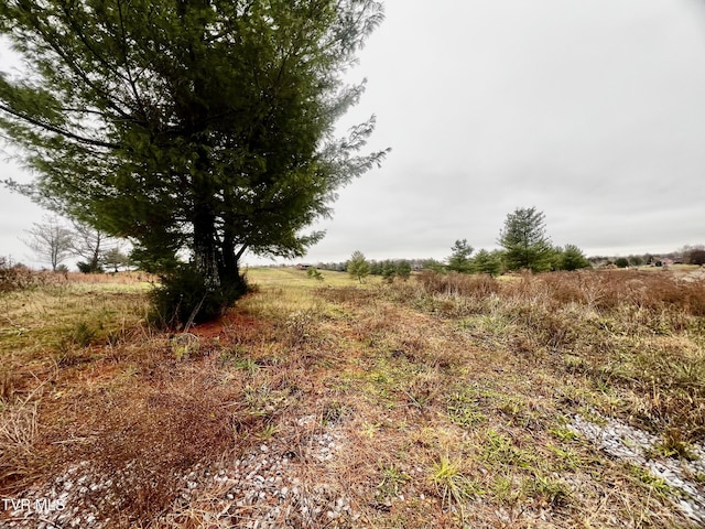 view of landscape featuring a rural view