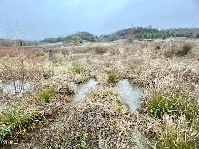 view of local wilderness featuring a rural view