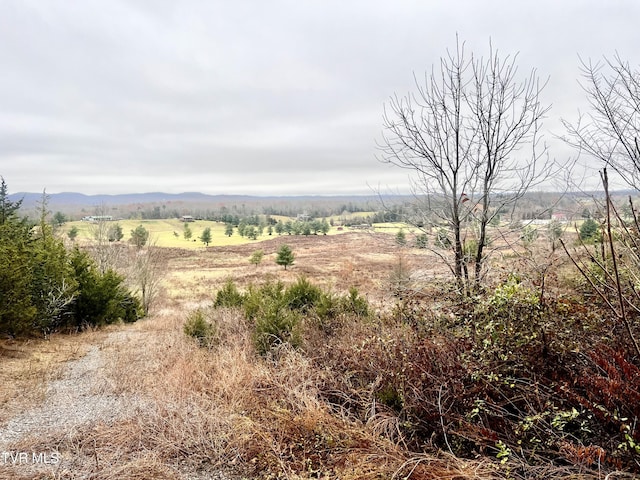 view of landscape featuring a rural view