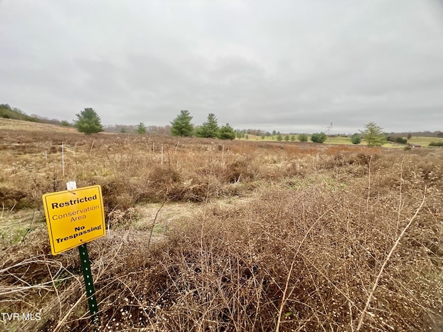 view of local wilderness featuring a rural view