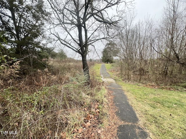 view of road