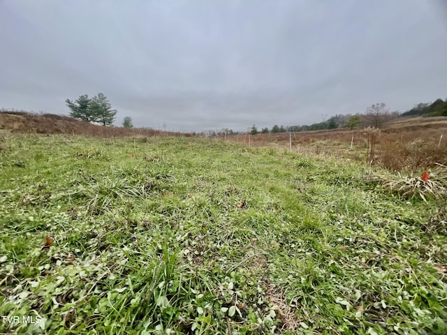 view of yard featuring a rural view