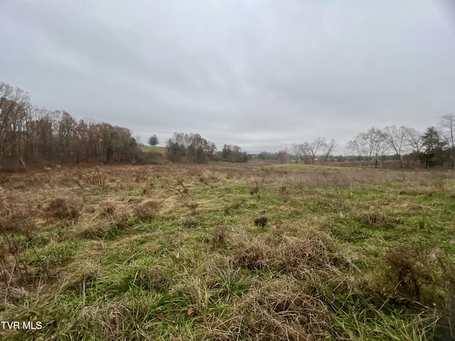 view of landscape featuring a rural view