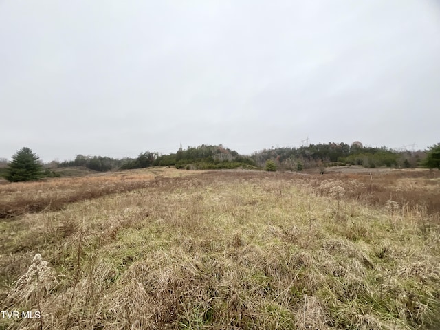 view of nature featuring a rural view