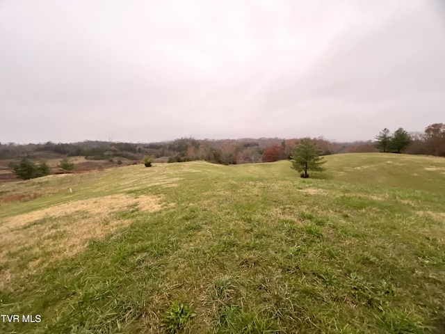 view of yard with a rural view