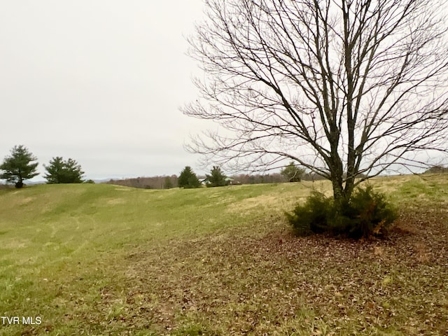 view of landscape with a rural view