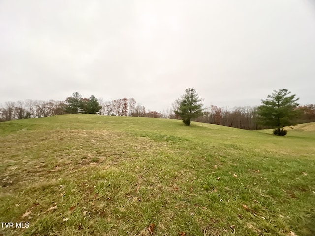 view of yard featuring a rural view