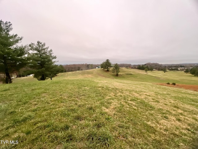 view of yard with a rural view