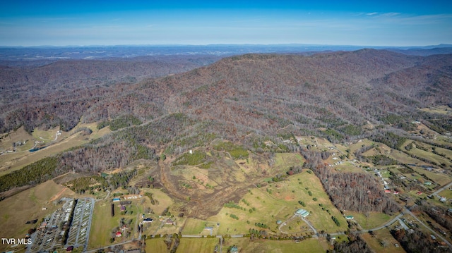 birds eye view of property featuring a mountain view