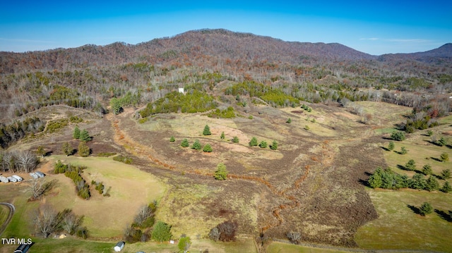 property view of mountains