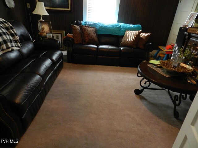 420 Watterson Gap Rd, Surgoinsville, TN 37873 - photo 12