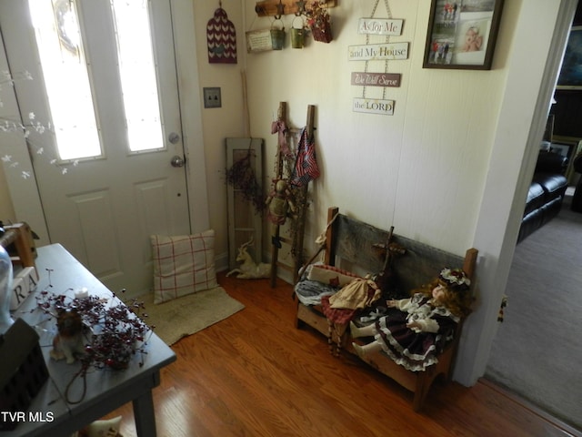 entryway featuring hardwood / wood-style floors