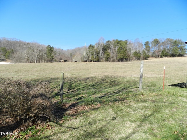 view of yard with a rural view